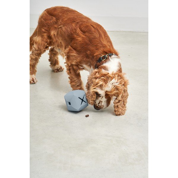 Koera mänguasi Dado Sky - MiaCara-image-1