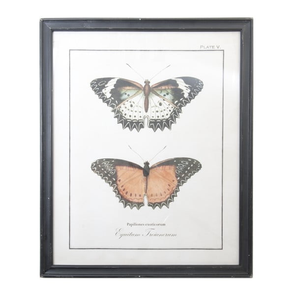 Obraz Clayre & Eef Butterflies, 65 x 80 cm