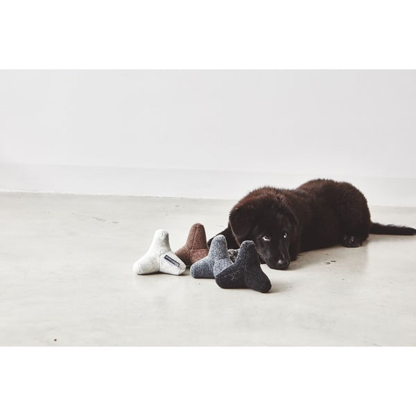 Mänguasi koerale Quattro Dusty Green M/L - MiaCara-image-1