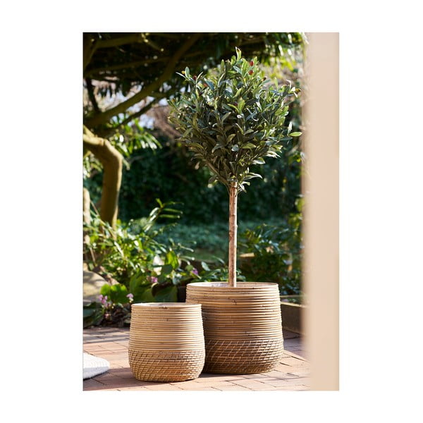 Moro korvid 2 tk - House Nordic-image-1