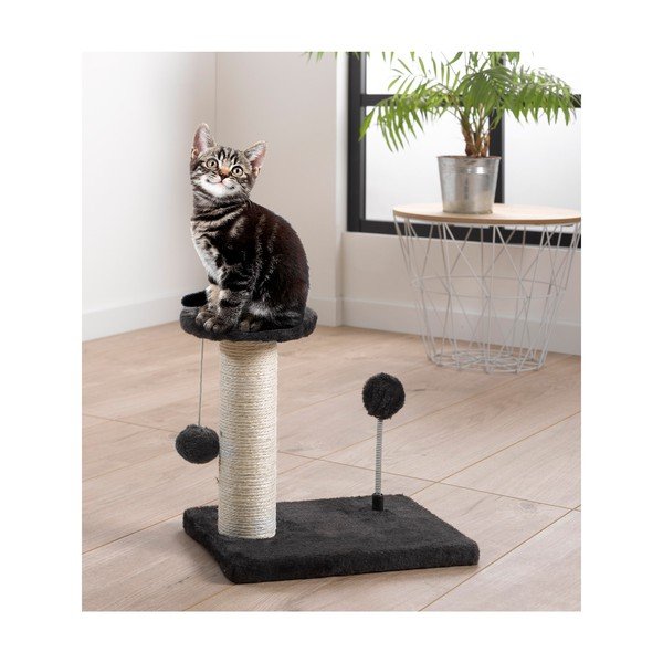 Kasside puhkepaik – Love Story-image-2