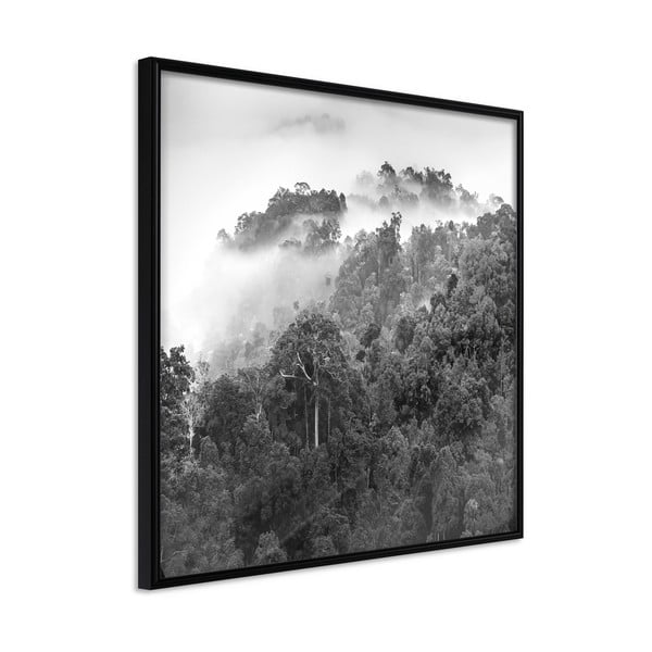 Plakat raamis, 30 x 30 cm Foggy Forest - Artgeist