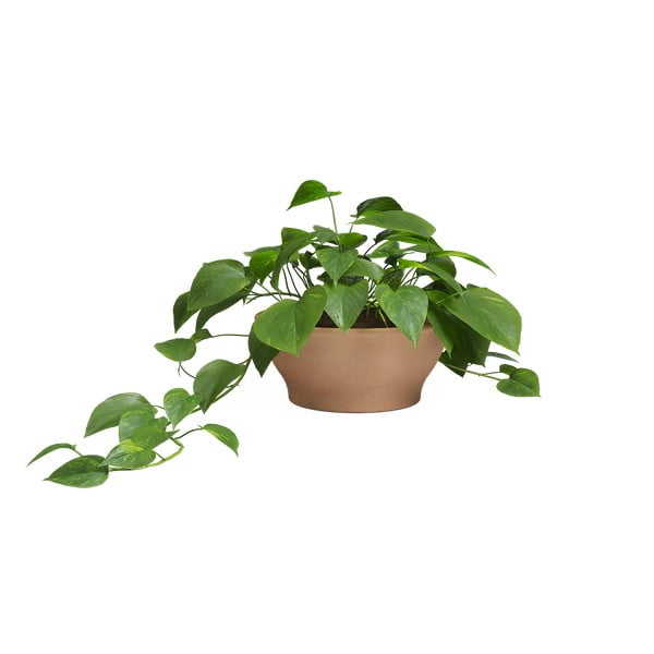 Terrakotta lillepott ø 31 cm Saramago - Artevasi-image-1