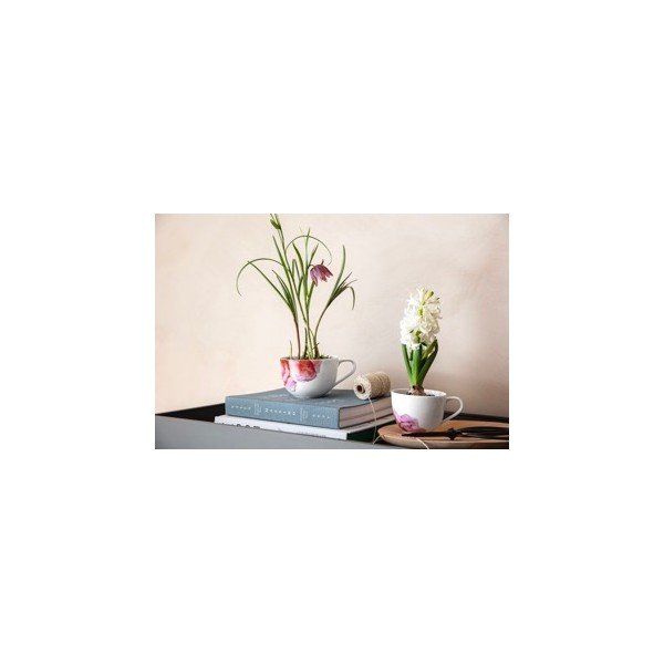 Valge ja roosa portselanist tass 300 ml Rose Garden - Villeroy&Boch-image-1