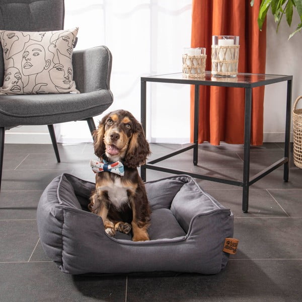 Sinine koeravoodi 50x55 cm - Love Story-image-3