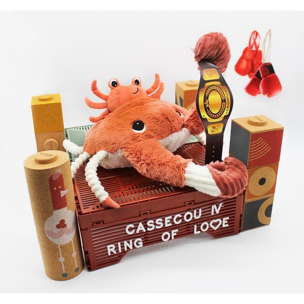 Pehmed mänguasjad 2-osalise komplektiga Ptipotos Cassecou - Les Deglingos-image-3