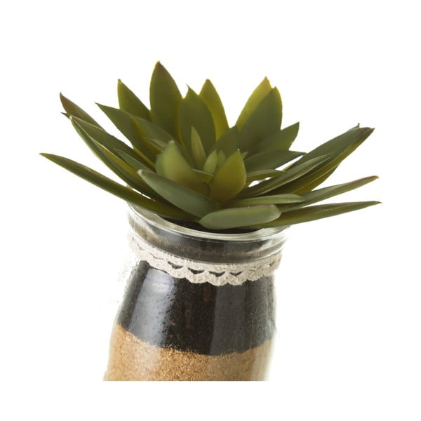 Kunsttaimed 4 tk komplektis (kõrgus 18 cm) Cactus – Casa Selección-image-3