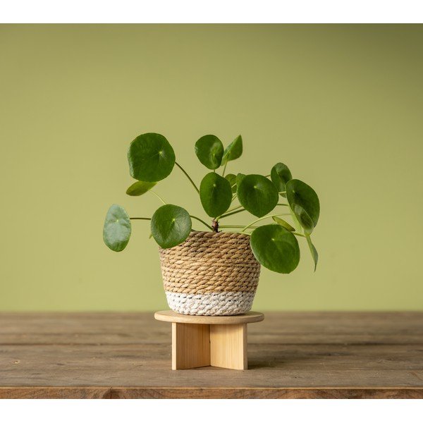 Bambusest lillestatiiv ø 18 cm - Esschert Design-image-3