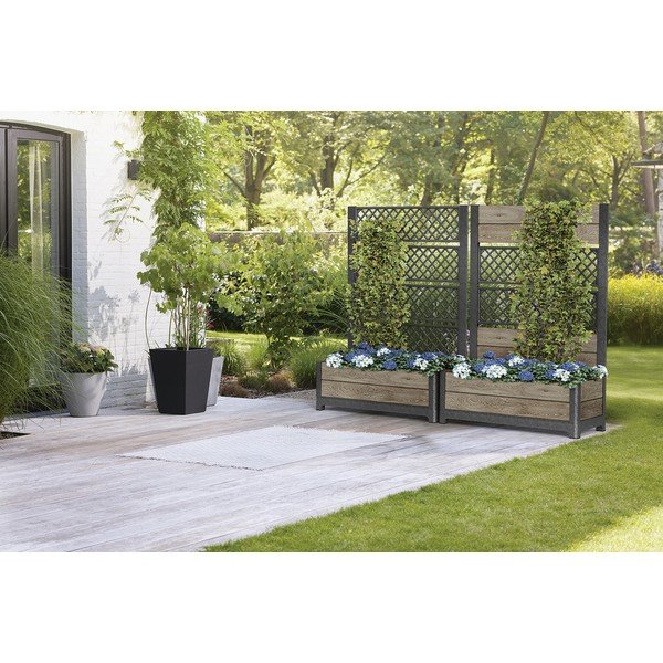 Taimekast Deco - Keter-image-2