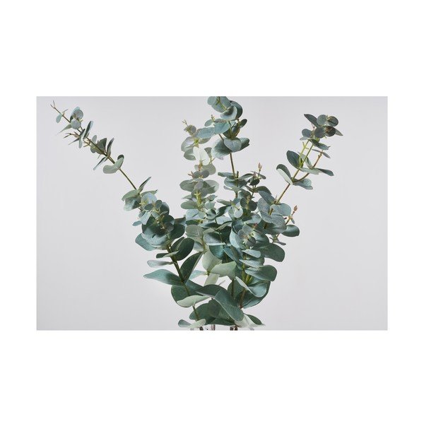 Kunstlik eukalüpt (kõrgus 71 cm) Kvist - Villa Collection-image-1