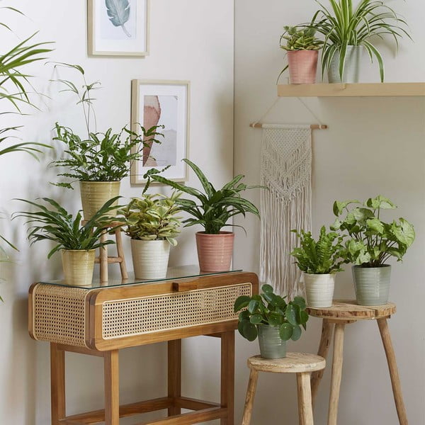 Keraamika lillepoti kate  ø 19 cm Canberra Effekt – Big pots-image-1