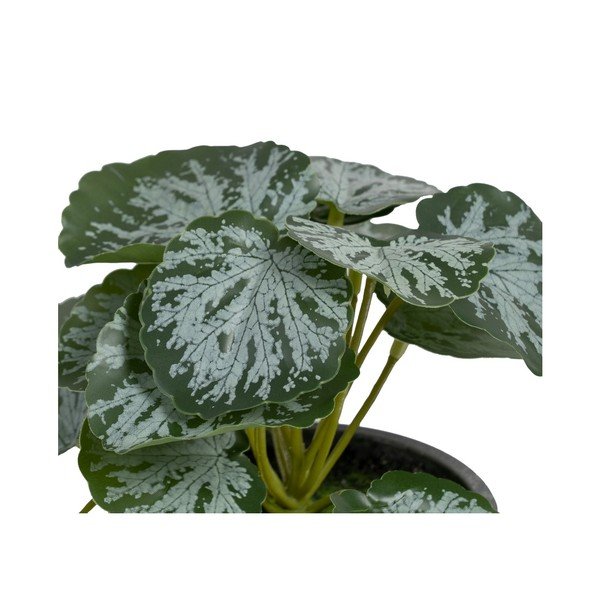 Kunstlik taim (kõrgus 21,5 cm) Saxifraga - Ixia-image-1