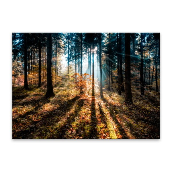 Maal Klaaspik , 70 x 100 cm Autumn Sunset - Styler
