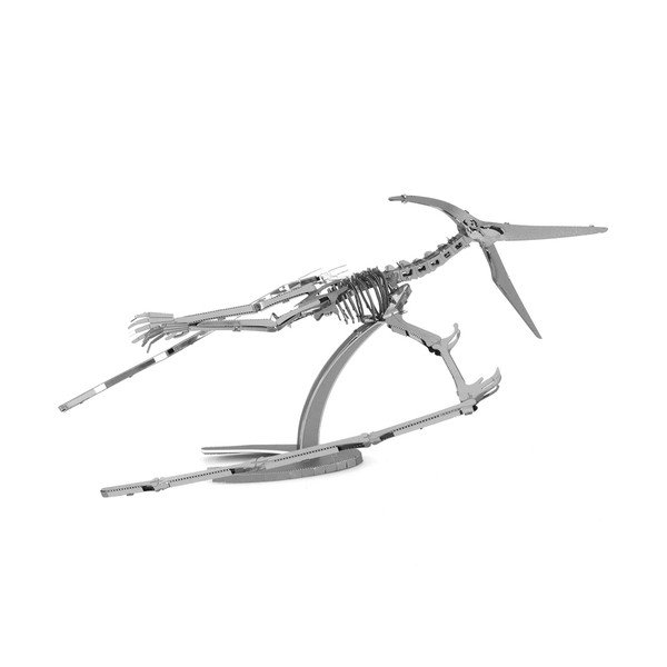Model Pteranodon Skeleton-image-3