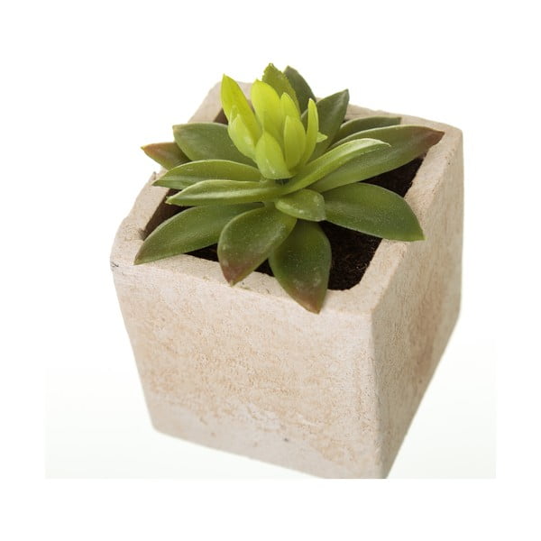 Kunsttaimed 6 tk komplektis (kõrgus 9,5 cm) Cactus – Casa Selección-image-1