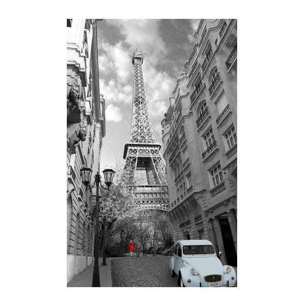 Fotoobraz Eiffel Tower, 81x51 cm