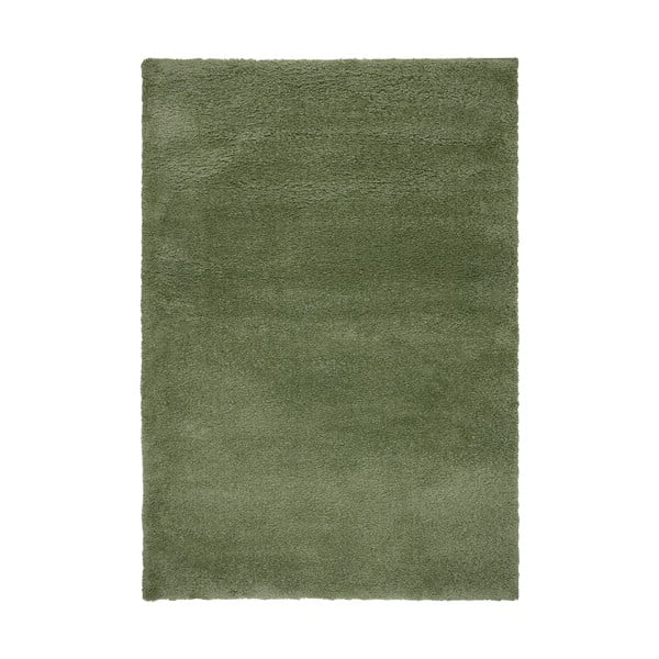 Roheline vaip 120x170 cm - Flair Rugs
