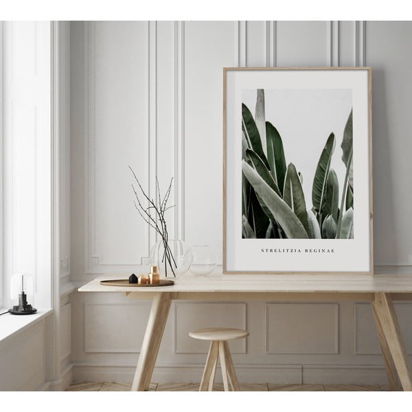 Plakat raamis 50x70 cm Strelitzia - Styler-image-1