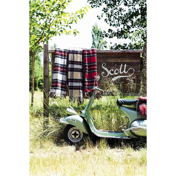 Tekk Candy tumehall, 140x180 cm - Euromant-image-4