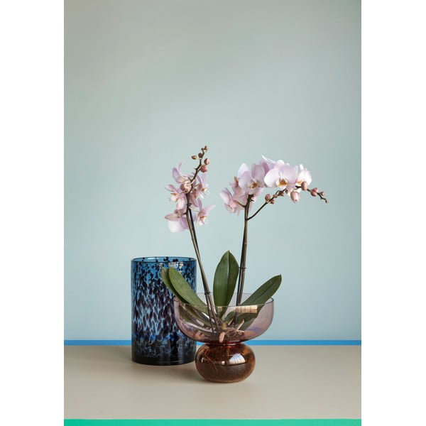 2 klaasist vaasi komplekt Hazy - Hübsch-image-1