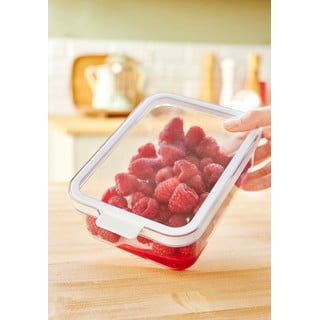 Plastikust külmiku korrastaja Cauma - Rotho