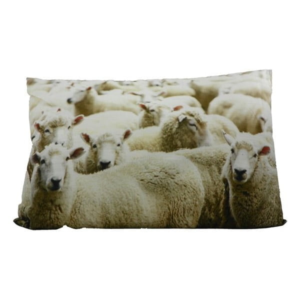 Polštář Sheep 60x40 cm