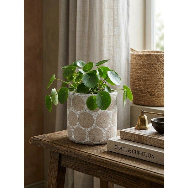 Käsitööna valminud terrakota lillepoti kate ø 12 cm Felan - Bloomingville-image-1