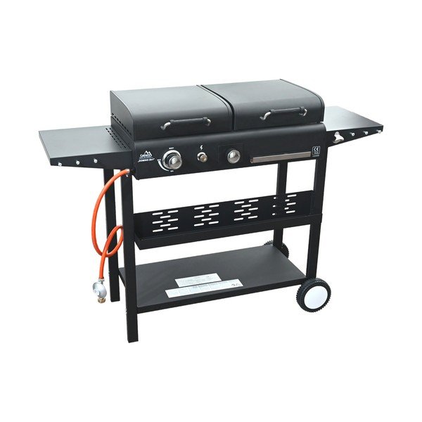Gaasi-/söegrill Domino 2in1 - Cattara