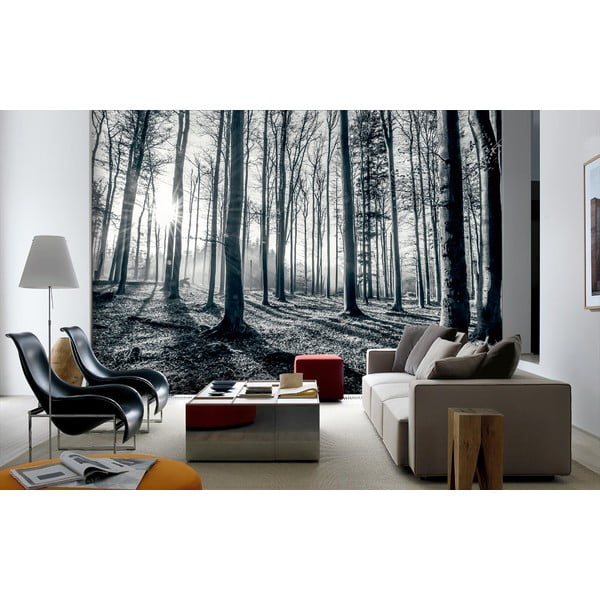 Velkoformátová tapeta Hluboký les, 366 x 254 cm