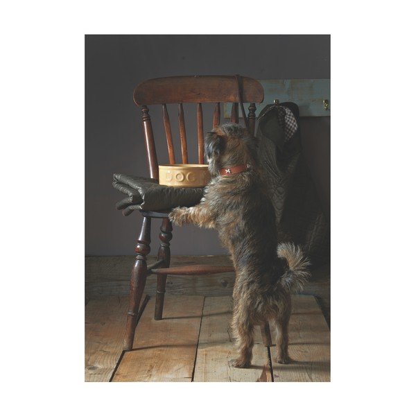 Keraamiline kauss koertele, ø 25 cm Pet Cane Dog - Mason Cash-image-4