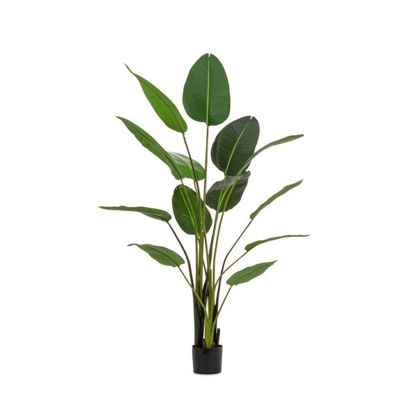 Kunsttaim, 185 cm Sterilizia – Bizzotto