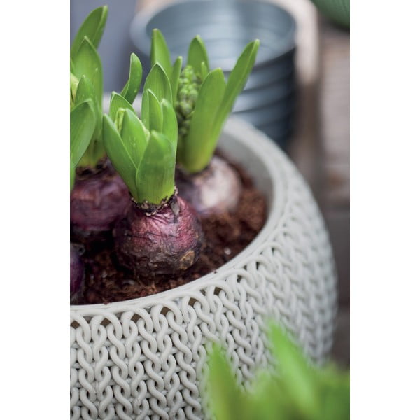 Plastikust rippuv lillepott ø 36 cm Cozy - Keter-image-1