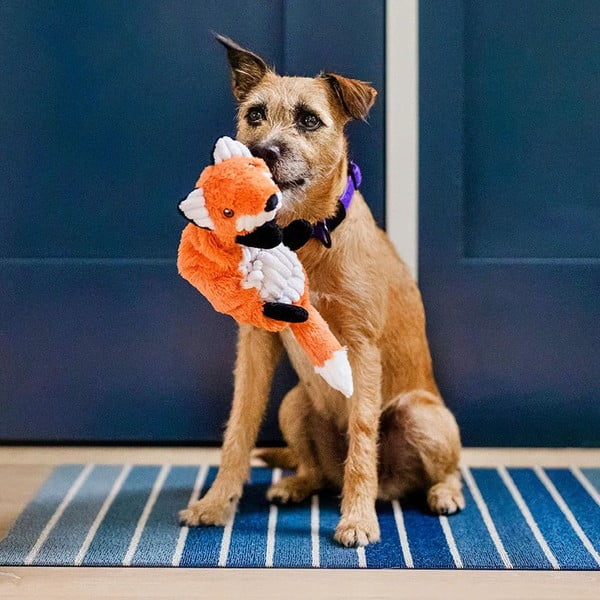 Koera mänguasi Fox - P.L.A.Y.-image-2