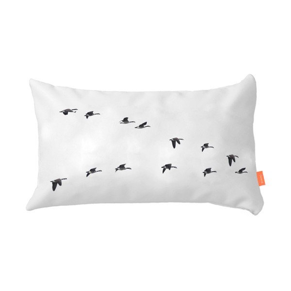 Komplekt 2 puuvillast padjapüürilehte Reis - Blanc-image-4