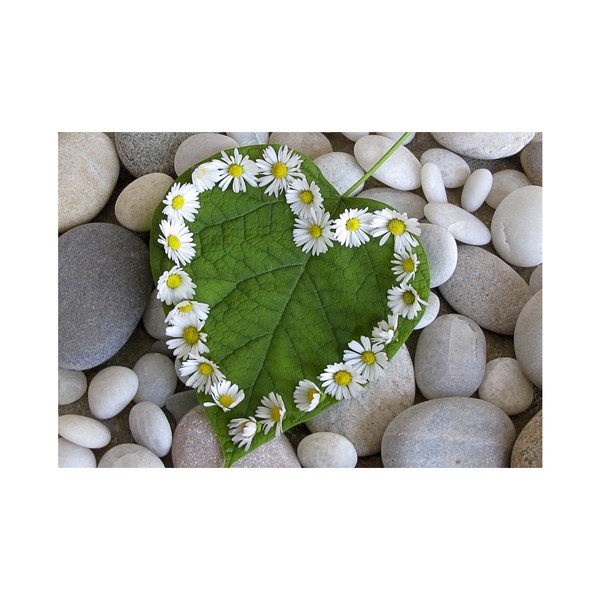 Aretto matt, 75 x 52 cm - Zerbelli-image-2