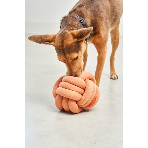 Koera mänguasi Tubo Dusty Orange - MiaCara-image-4