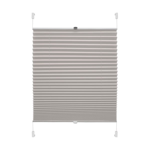 Hall ruloo 80x150 cm Plisé Verona - Gardinia