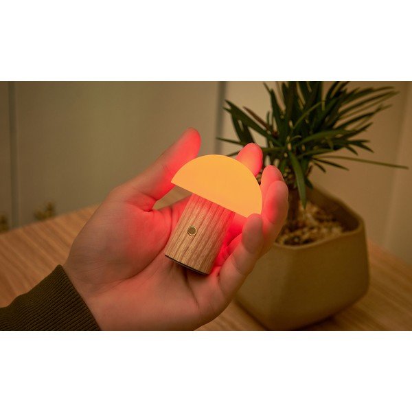 Tuhapuidust LED dimmerdatav laualamp (kõrgus 7 cm) Alice - Gingko-image-4