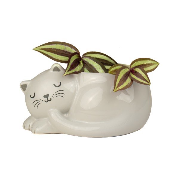 Keraamiline lillepoti kate Sleeping Cat - Sass & Belle-image-1