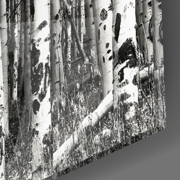 Klaasimaal, 110 x 70 cm Yellow Forest - Insigne-image-2