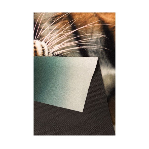 Koberec Hanse Home Tiger, 190 x 140 cm-image-2