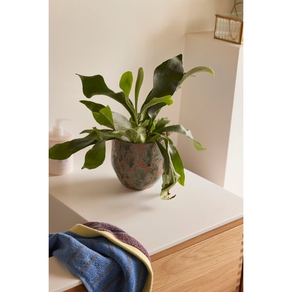 Keraamika lillepoti katted komplektis  2 tk ø 15 cm Normu – Hübsch-image-3