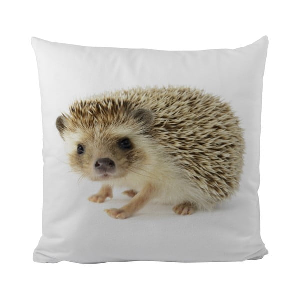 Polštář Mr. Little Fox This Hedgehog, 50 x 50 cm