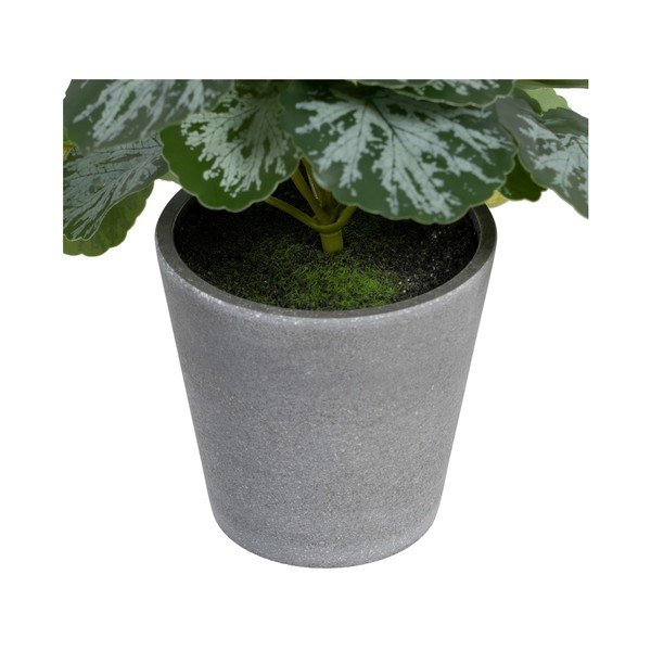 Kunstlik taim (kõrgus 21,5 cm) Saxifraga - Ixia-image-2