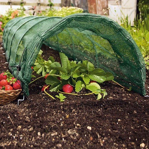 Aiatekstiil - Garden Pleasure-image-1