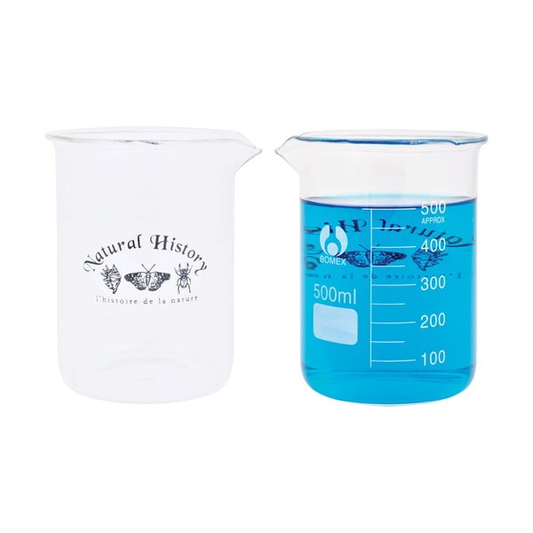 Klaasvaas (kõrgus 12 cm) Natural History - Esschert Design-image-4