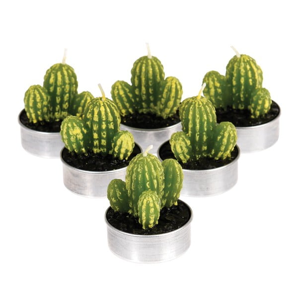 6 čajových svíček ve tvaru kaktusu Rex London Desert In Bloom