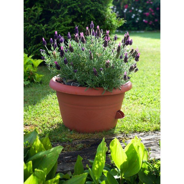 Pruun isevoolav kann Siesta, ø 25 cm - Plastia-image-1