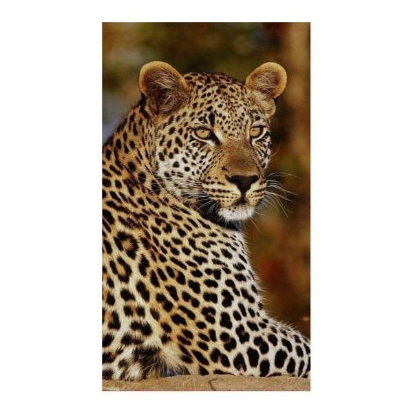 Plážová osuška s potiskem Good Morning Leopard, 100 x 180 cm