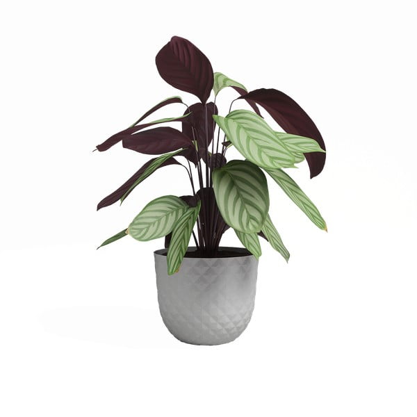 Ümbertöödeldud plastikust lillepott ø 30 cm Havana - Artevasi-image-2